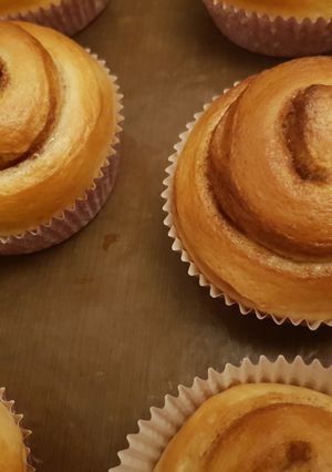 A picture of Cinnamon Rolls/Chocolate Rolls Bread.