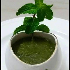 A picture of Pudina chutney.