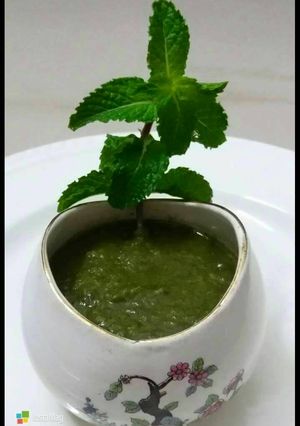 A picture of Pudina chutney.