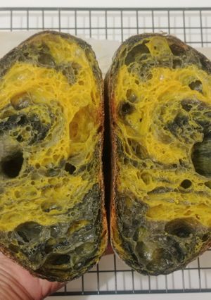 Foto resep Bumblebee Sourdough Bread (88% - Oven Tangkring)