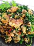 Tempe Bejek Keningkir