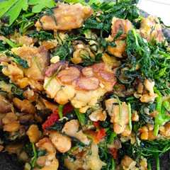 รูปของ Tempe Bejek Keningkir