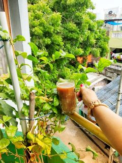 হট কফি (Hot Coffee, Recipe in Bengali) রেসিপির প্রধান ছবি