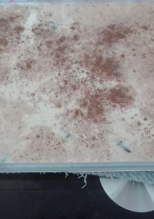 Una foto de Arroz con leche y canela