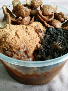 Foto resep Es kepal milo