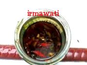 Gambar petis ikan