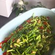 Cah kangkung