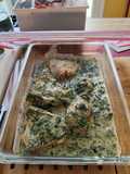 Pollo Cremoso con Espinaca