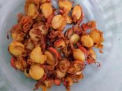 Gambar scallop kering