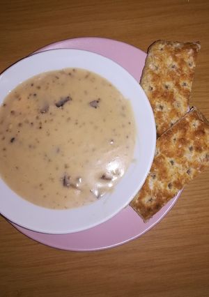 A picture of Biltong soup.