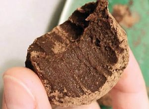 Foto de Trufas de Chocolate