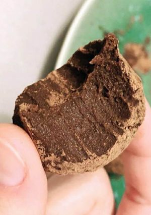 Foto de Trufas de Chocolate