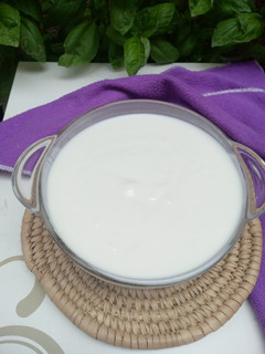 Yoghurt ainihin hoton girkin
