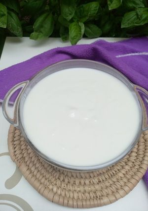 Yoghurt ainihin hoton girkin