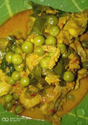 Foto resep Gulai ayam Rimbang pedas 😍