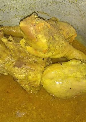 Una foto de Gallina sudada