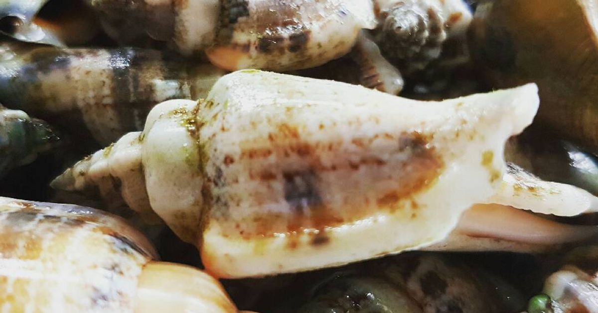 Aninikad / Seasnail Garlic Butter Stirfry Recipe By Bemski