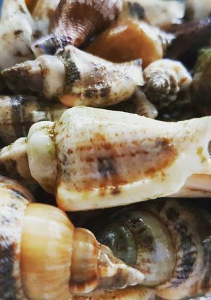 A picture of Aninikad / Seasnail Garlic Butter Stirfry.