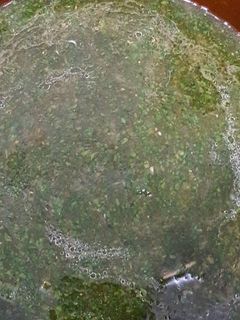 صورة لوصفة ملوخيه