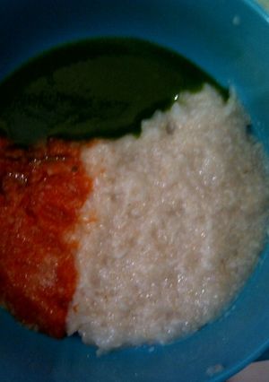 Foto resep Bubur Salmon Sayuran Slowcooker (MP-ASI 7m+)