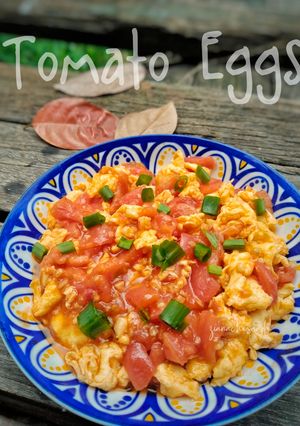 Gambar Tomato Eggs