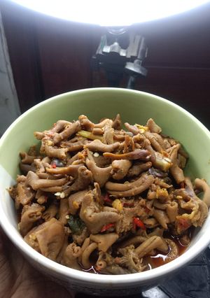 Foto resep Usus Ati Ampela Kecap