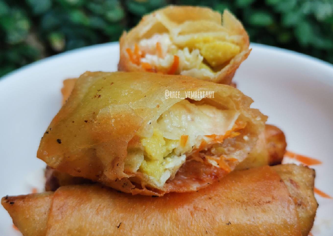 Shrimp Avocado Spring Rolls