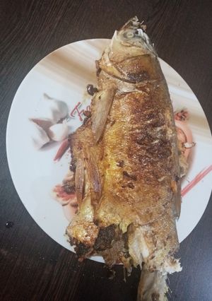 عکسی از دستور ماهی شکم پر
