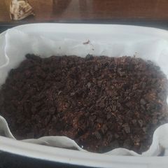 A picture of Black bean brownie.