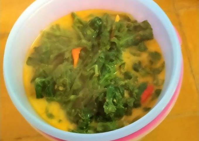 Resep Sayur Lodeh Daun Singkong Oleh Ai Zakiyah Cookpad