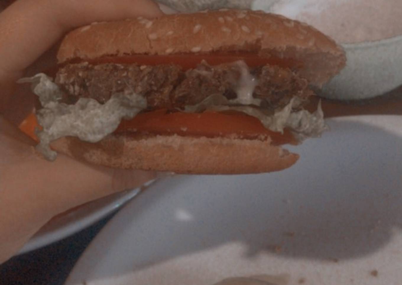 Hamburguesa de lenteja