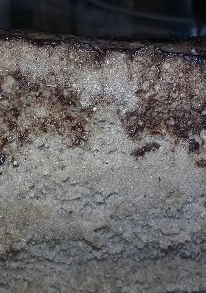Una foto de Bizcochuelo fácil en microondas