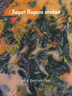 Foto resep Sayur Bayam kuah santan