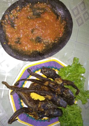 Foto resep Lele goreng sambal tomat