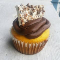 A picture of Boston Creme Poke Cupcakes 🍰.