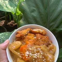 รูปของ Chicken Katsu Curry