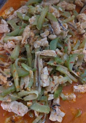 Foto resep Sambal godok tempe teri labu siam