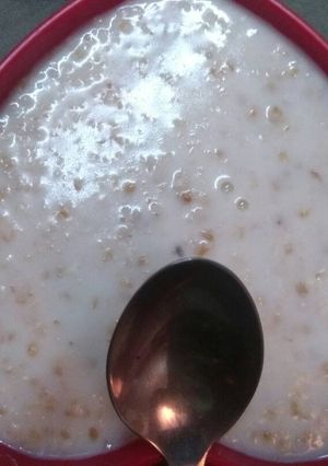 A picture of Oats Porridge.
