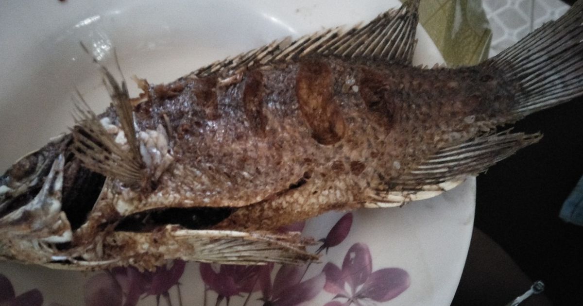 Fried Fish Recipe by jackline maina - Cookpad