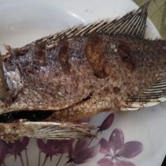 A picture of Fried fish.