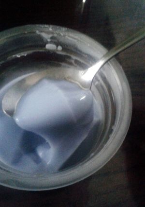 Foto resep silky pudding ala puyo super irit super lembut super enak!!