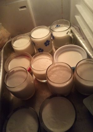 صورة لوصفة زبادي بيتي