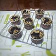 Muffin Chocolate Custard