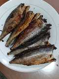 Ikan Cabai caru / cincaru / tegang ekor