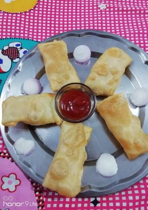 A picture of Noodle spring rolls.