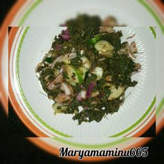Moringa (local salad) A picture of Moringa (local salad).