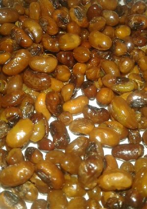 Foto resep 'Tholo Goreng'