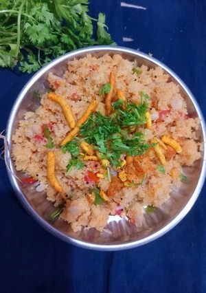 વેજીટેબલ ઉપમા (Vegetable Upma Recipe In Gujarati) રેસીપી મુખ્ય ફોટો