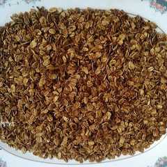 A picture of Coconut Granola (Vegan & Oil Free).