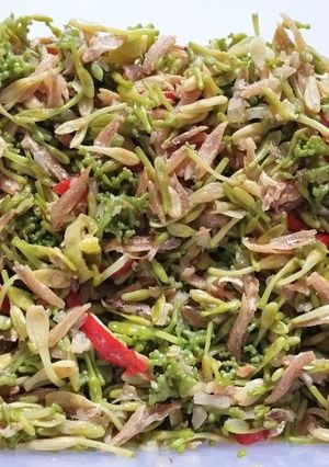 Foto resep Tumis bunga pepaya + teri